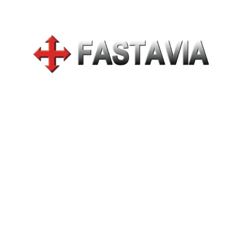 Fastavia Ltd